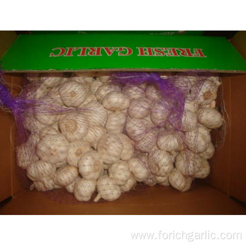 Pure White Garlic Packed 5kg 2bags carton